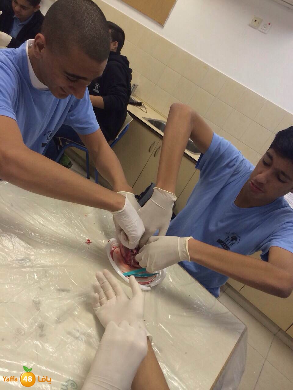 ajyal teb u (15).JPG